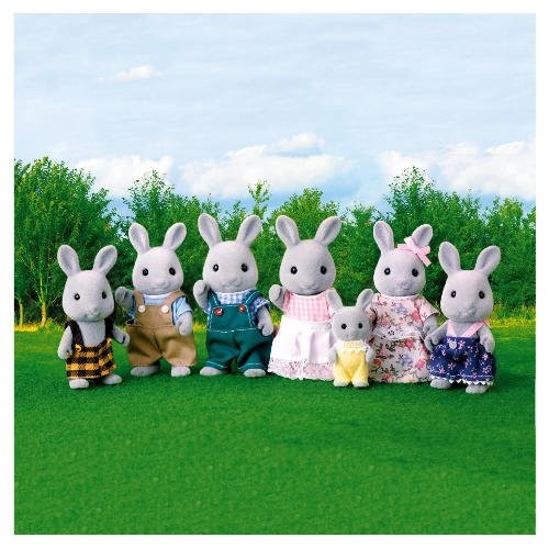 Haiiro Usagi Ane, Sylvanian Families, Epoch, Action/Dolls
