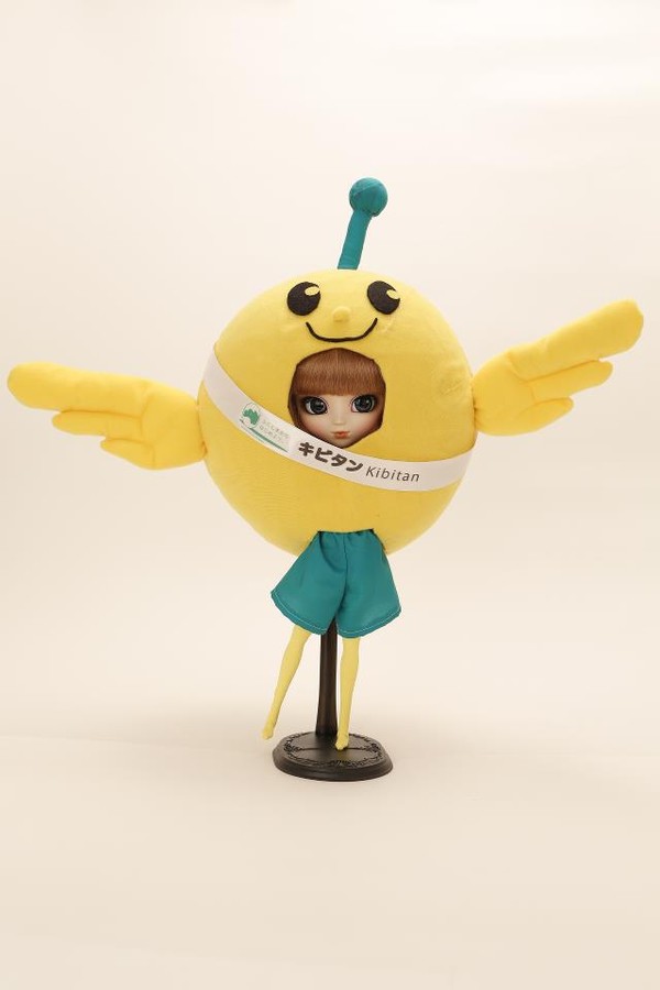 Kibitan (☆ We ♥ (Love) Pullip 10th Anniversary Party Charity Auction ☆), Original Character, Groove, Action/Dolls, 1/6