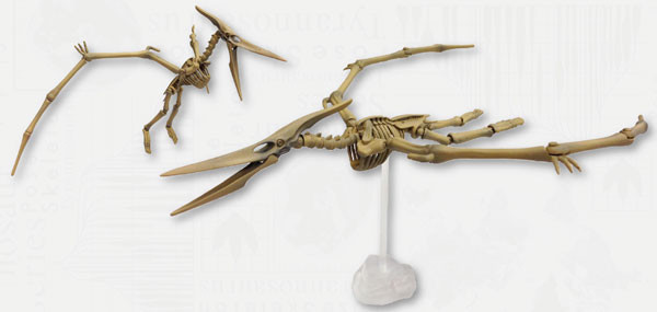 105 Pteranodon, Re-Ment, Action/Dolls