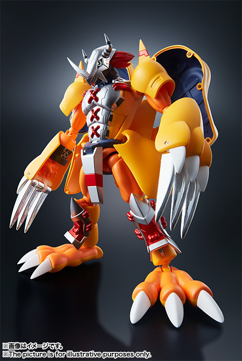 Agumon, WarGreymon, Digimon Adventure, Bandai, Action/Dolls, 4549660175698