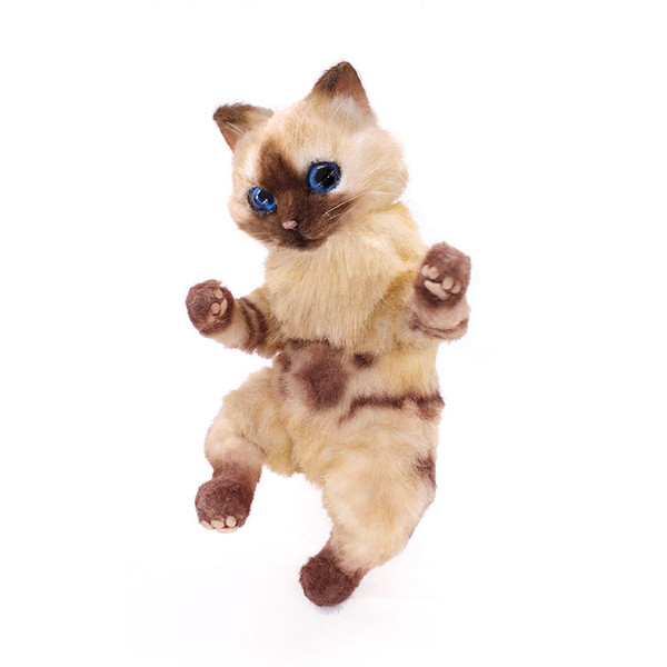 Airou, Monster Hunter, Pigu, Action/Dolls