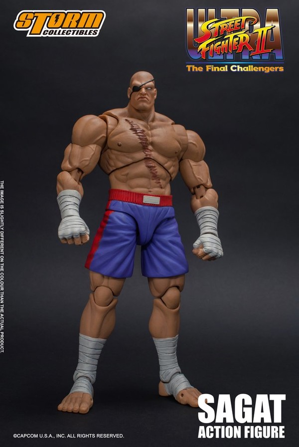 Sagat, Ultra Street Fighter II: The Final Challengers, Storm Collectibles, Action/Dolls, 1/12, 4589484107147