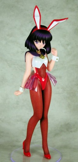 Tomoe Hotaru (Bunny Girl), Bishoujo Senshi Sailor Moon, Amie-Grand, Garage Kit, 1/6