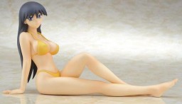 Sakaki (Swimsuit), Azumanga Daioh, Kotobukiya, Pre-Painted, 1/7, 4934054781461