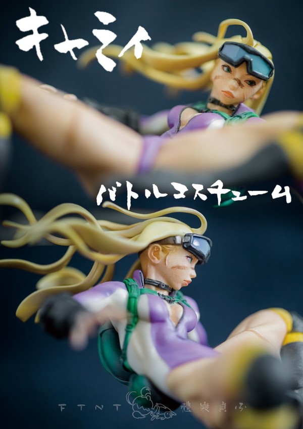 Cammy (Battle Costume), Street Fighter, Futene-tai, Garage Kit, 1/12