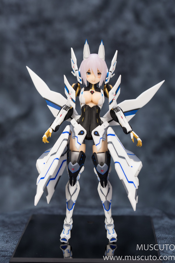 Eternia, Phantasy Star Online 2, Muscuto, Garage Kit, 1/12