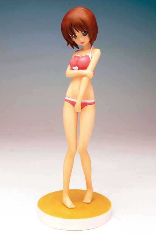Nishizumi Miho (Swimsuit), Girls Und Panzer, Platz, Garage Kit, 1/10