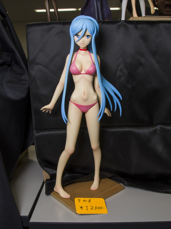 Takao (Swimsuit), Aoki Hagane No Arpeggio: Ars Nova, Ab=flug, Garage Kit