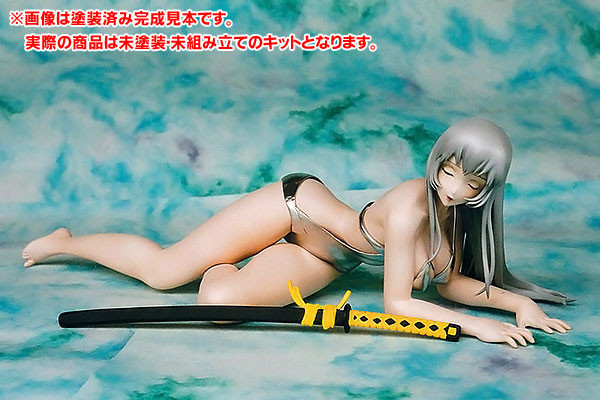 Chouun Shiryuu, Ikki Tousen Great Guardians, Musashiya, Garage Kit, 1/6