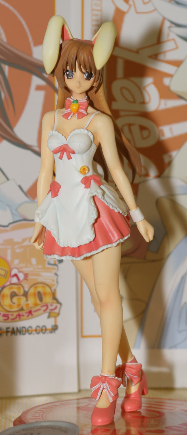 Kunugi Ayano (Bunny), Pia♥Carrot E Youkoso!! G.O., Team NEUE, Garage Kit