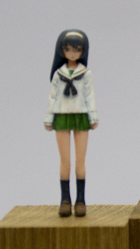 Reizei Mako, Girls Und Panzer, Ara Ara Komatta Dou, Garage Kit, 1/35