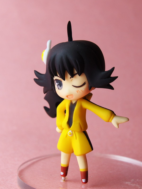 Araragi Karen, Nisemonogatari, Hachioto Shiki, Garage Kit