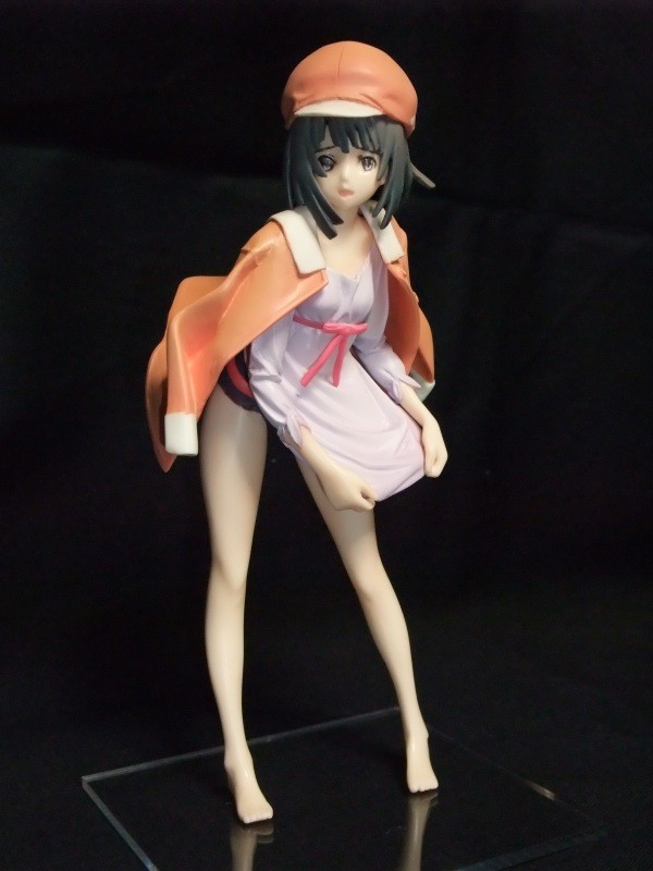 Sengoku Nadeko (Anime), Bakemonogatari, Tsuruya☆Plus!, Garage Kit