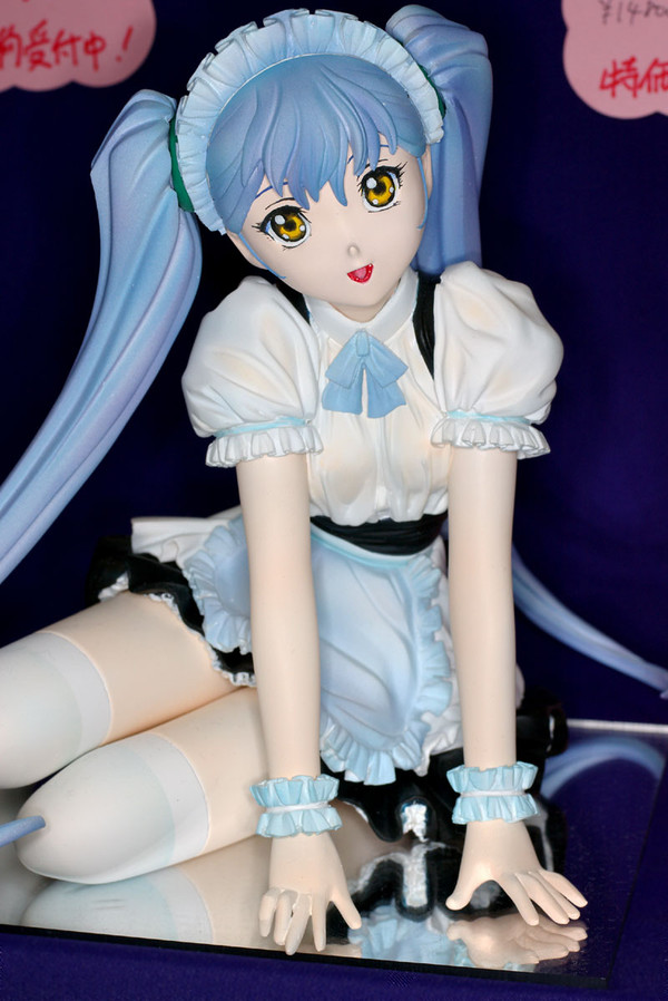 Hoshino Ruri (16-year maid III kit), Kidou Senkan Nadesico, Musashiya, Garage Kit, 1/5