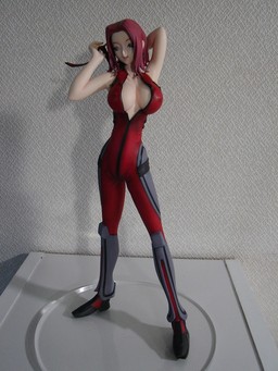 Kouzuki Kallen, Code Geass - Hangyaku No Lelouch, Buster Seven, Garage Kit, 1/7