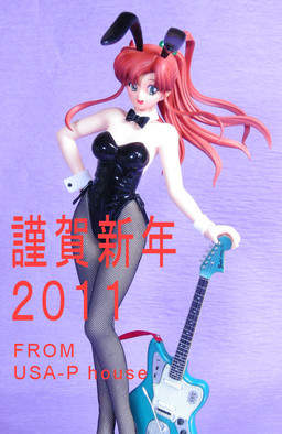 Kino Makoto (Bunny Girl, 2011), Bishoujo Senshi Sailor Moon, Usa P House, Garage Kit