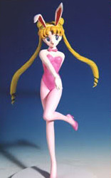 Tsukino Usagi (Bunny Girl), Bishoujo Senshi Sailor Moon, Supervisor, Garage Kit, 1/8