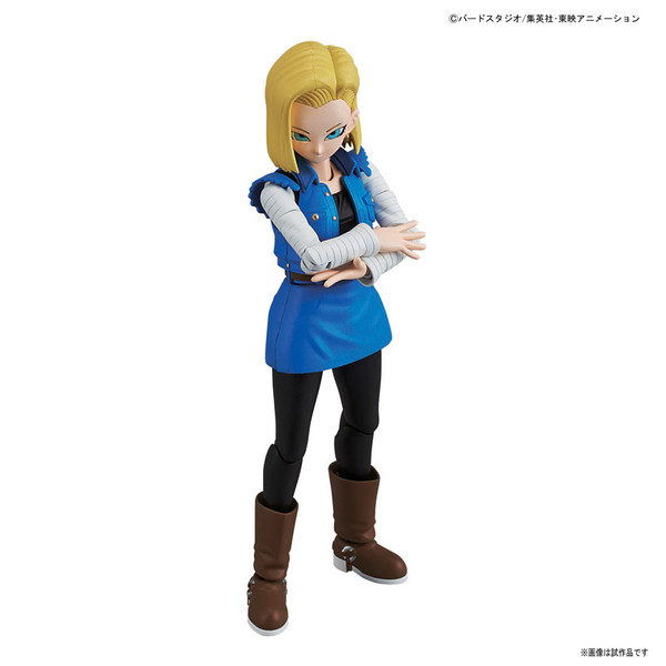Android 18, Dragon Ball Z, Bandai, Model Kit, 4549660156390