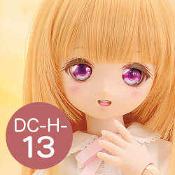 DC-H-13 Pre-Painted Head, Volks, Accessories