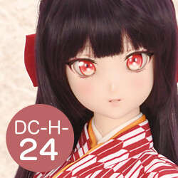 DC-H-24 Pre-Painted Head, Volks, Accessories, 1/3