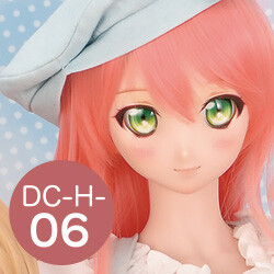 DC-H-06 Pre-Painted Head, Volks, Accessories, 1/3