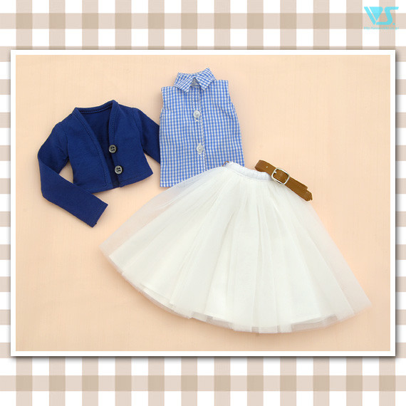 Blue Gingham Check Set (Mini), Volks, Accessories, 1/3, 4518992419909