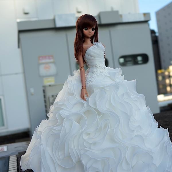 Bridal Gown 2016 (White), Culture Japan, Accessories, 1/3