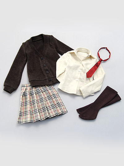 High School Girl Set (Brown Cardigan), Volks, Accessories, 1/3