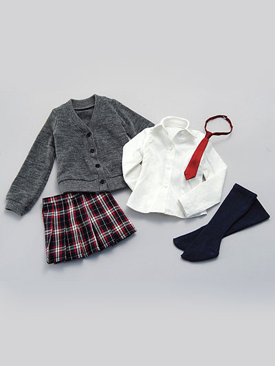 High School Girl Set (Gray Cardigan), Volks, Accessories, 1/3