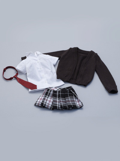 Test-Hating School Girl Set, Volks, Accessories, 1/3
