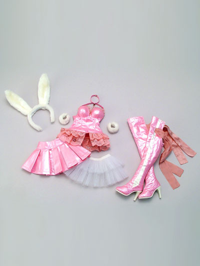 Pink Leather & Bunny Ears, Volks, Accessories, 1/3