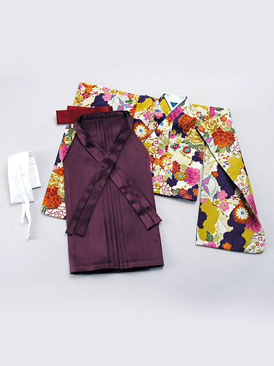 Purple Taisho Modern Schoolgirl Set, Volks, Accessories, 1/3