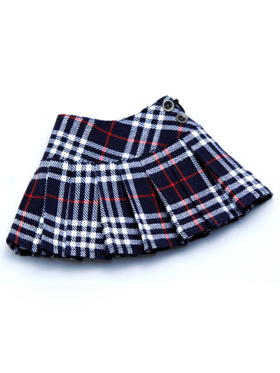 Plaid Skirt, Volks, Accessories, 1/3, 4518992387352
