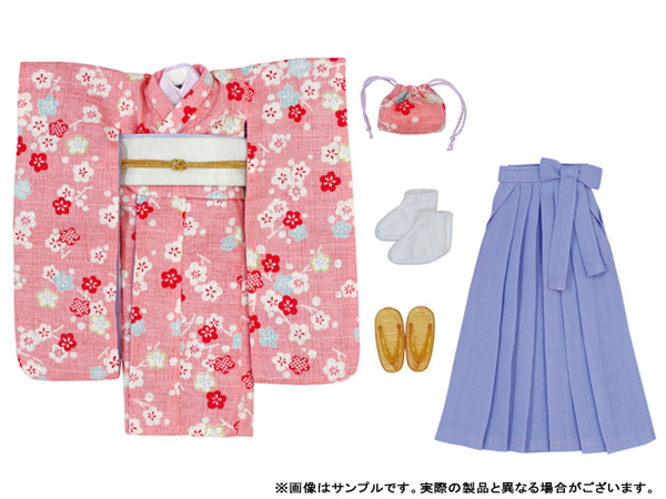 Hakama Set (Plums in Spring, Pink & Light Purple), Azone, Accessories, 4571117000215
