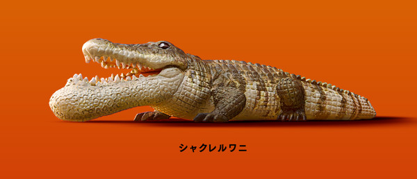 Shakurel Crocodile, Takara Tomy A.R.T.S, Trading, 4904790827945