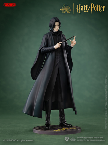 Severus Snape (Harry Potter Age of Magic), Harry Potter, Unknown, Pre-Painted