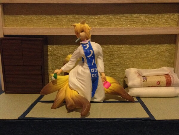 Yakumo Ran (Neoki Ran-sama), Touhou Project, IGE, Garage Kit