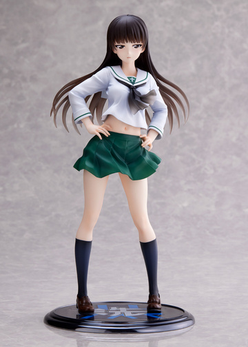 Shiho Nishizumi (Nishizumi Shiho Ooarai Joshi), Girls Und Panzer Der Film, Girls Und Panzer Senshadou Daisakusen!, Wave, Pre-Painted, 1/7