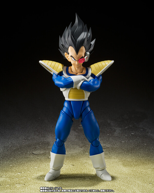 Vegeta (24000 Power Level), Dragon Ball Z, Bandai Spirits, Action/Dolls, 4573102661241