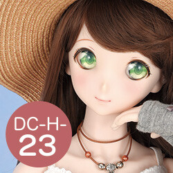 DC-H-23 Pre-Painted Head, Volks, Accessories, 1/3