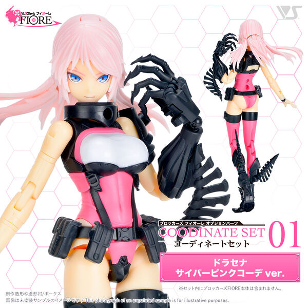 Dracaena Cyber Pink Coord, Volks, Accessories, 4518992231686