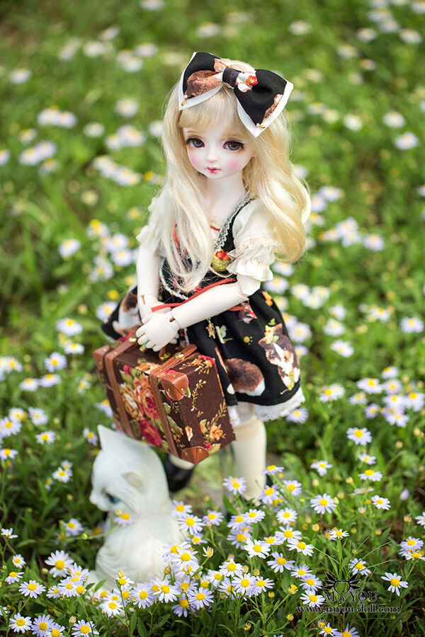 Antong (Type 1), Original, Myou Doll, Action/Dolls