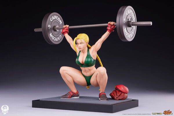 Cammy (Classic Edition), Street Fighter, Premium Collectibles Studio, Pre-Painted, 1/4