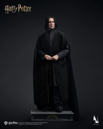 Severus Snape, Harry Potter, Unknown, Action/Dolls, 1/6