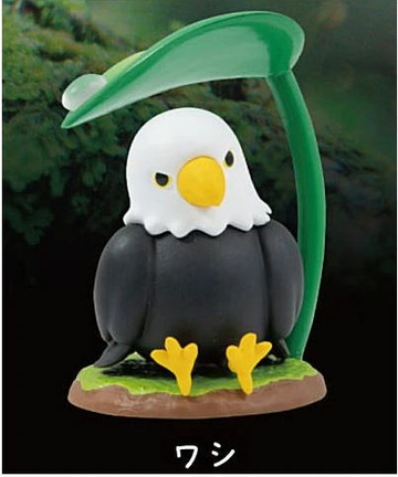 Eagle, Unknown, Trading