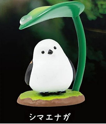 Shima Enaga, Unknown, Trading