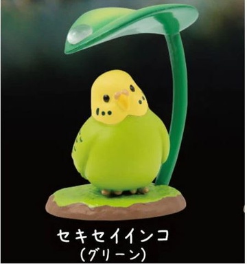 Budgie ((Green)), Unknown, Trading