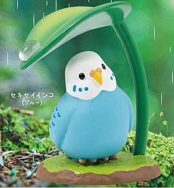 Budgie ((Blue)), Unknown, Trading