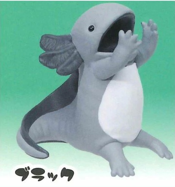 Wooper (Black), Pokemon, Unknown, Trading, 55