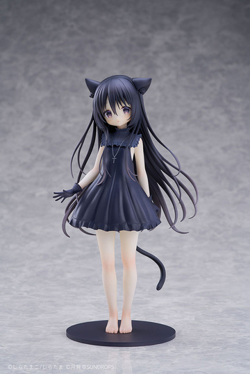 Noir, Hoshizora Tetsudou To Shiro No Tabi, Unknown, Pre-Painted, 1/7